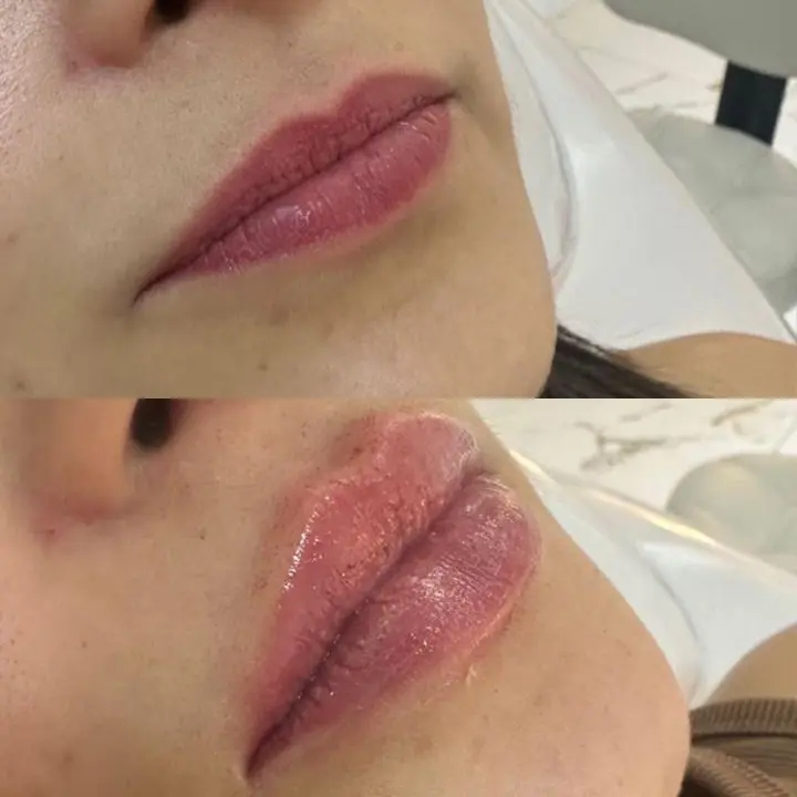 AnyConv.com__02-natura-editado